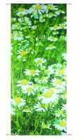 Textilbanner 180 x 75