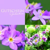 Gutschein Lila Flower