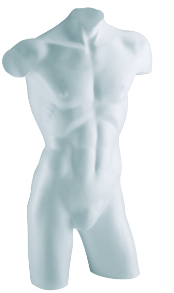 Herren-Badetorso Styropor